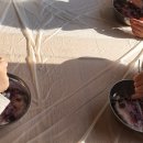 청호병설유치원 이미지