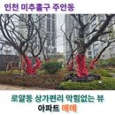 주안열린치과의원 네이버블로그