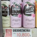송탄성경마트
