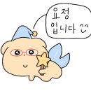 서울완치과 이미지