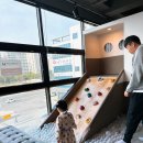 어라운드맘스 | 춘천 아이랑 가볼만한곳/춘천 맛집/춘천 &#34;어라운드맘스&#34;(현재는 없어짐)/춘천 공지천/춘천 오픈박스...