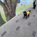 양화초교 이미지