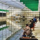 시동유정낚시터 이미지