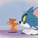 톰과제리 이미지