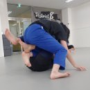 아레나주짓수 이미지