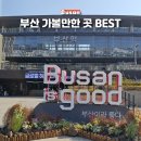 소망카닷컴 | 부산 가볼만한곳 아홉산숲 엑스더스카이 해운대블루라인파크 송도해상케이블카