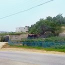 여주-0553 이미지