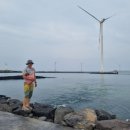 미진식당 이미지