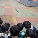 울산광역시야생동물구조관리센터 울산종합일보