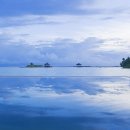 말리비치 이미지