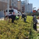 도화1동 이미지