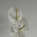 플라워 스타일링 이미지