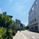 성동구청 뒤편 이미지