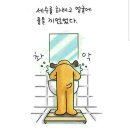 mental이 나갔군 이미지