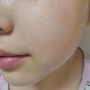 H9533 네이버블로그