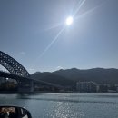 뚱보 고양이 | 통영 가볼만한 곳 뚱보 할매김밥집과 바다뷰카페바다봄 그리고 미륵산등산 후기