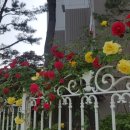 동영연합의원 이미지