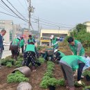 면천보건지소 이미지