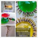 해충박멸ZERO