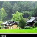 전통한옥 초가집 이미지