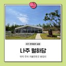 월하당 | 나주 월하당 애견놀이터 애견동반 대형카페 나주 가볼만한곳
