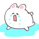 프로애견 이미지