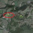 구좌공설묘지 이미지