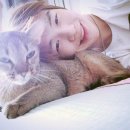 단짝 이미지