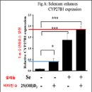 비타민D 작용기전과 부작용, 제품 고르는 방법 ＜소비자리포트＞ 이미지