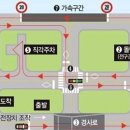 뉴강남