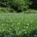 귀래농장 이미지