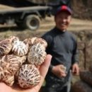 도은농장 이미지