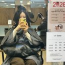 유동 이글미용실 앞 | [공지] 연산동미용실[박승철헤어스투디오연제이마트점] 레이어드펌/C컬펌+컷 후기 (혜인팀장님)