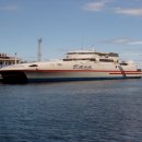 썬플라워 이미지