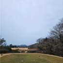봄이엣지하우스 | Top 100 Golf Course ASIA 제주 블랙스톤cc 라운딩 골프 후기