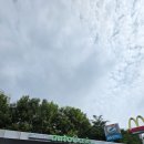 오토오아시스현대점 이미지