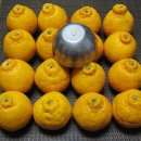 영서농장 이미지