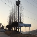 다온숲 | 세종 글램핑 후기 ‘다온숲’ 캠핑 야영장 글램핑장 대만족 추천