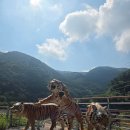 벽계야영장 | 의령 벽계 야영장 통나무집 6호 아이와 가볼만한곳