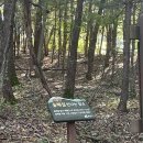 서봉산 산림욕장 2 이미지