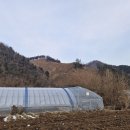 남산초등학교 서천분교장 이미지