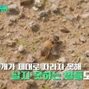 한국양봉농협 동물병원 이미지