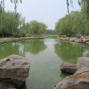 조원공원 이미지