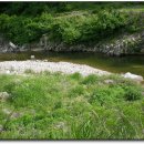 광비천민박 이미지