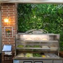 왕버들로 이미지