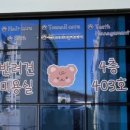 마롱 살롱 이미지