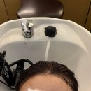 최영은헤어 | 차홍룸 목동점 웨딩 염색 퍼스널 컬러 진단 후기 최영은 디자이너