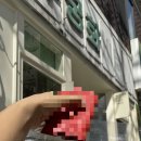 무궁화 세탁소 이미지