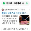 스시愛생선가게애 | 광화문 오마카세 가성비 최고 초밥 데이트코스로 좋은 스시 오마카세 오사이초밥 광화문점 후기