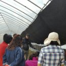 명대농장 이미지